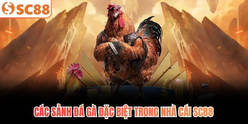 Các sảnh đá gà đặc biệt trong nhà cái SC88