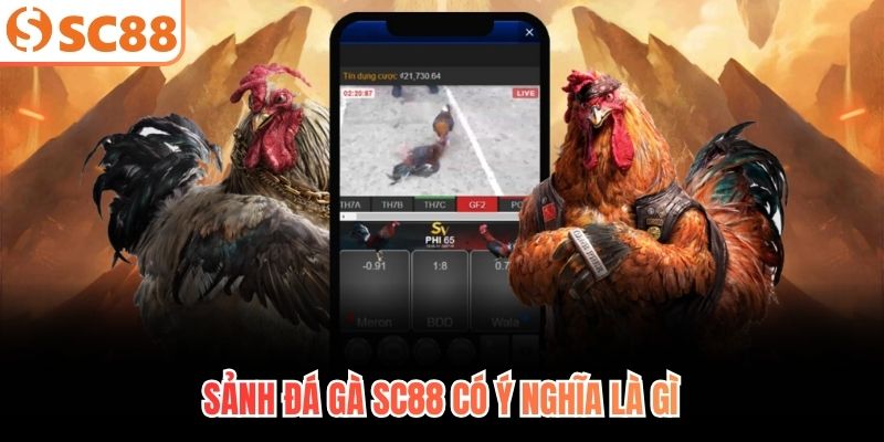 Sảnh đá gà SC88 có ý nghĩa là gì